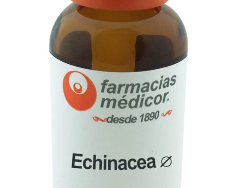 Echinacea (Equinácea) TINTURA